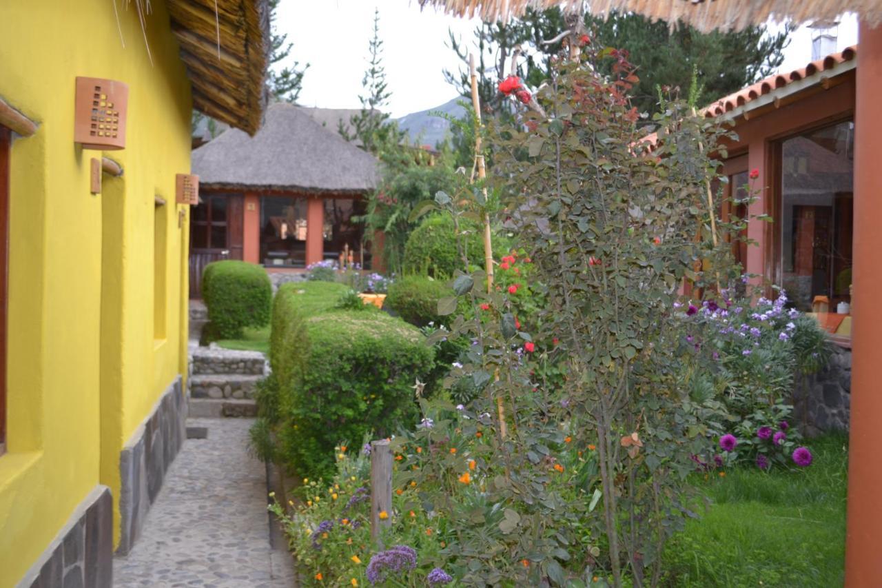 Miskiwasi Bed&Breakfast Yanque Bagian luar foto
