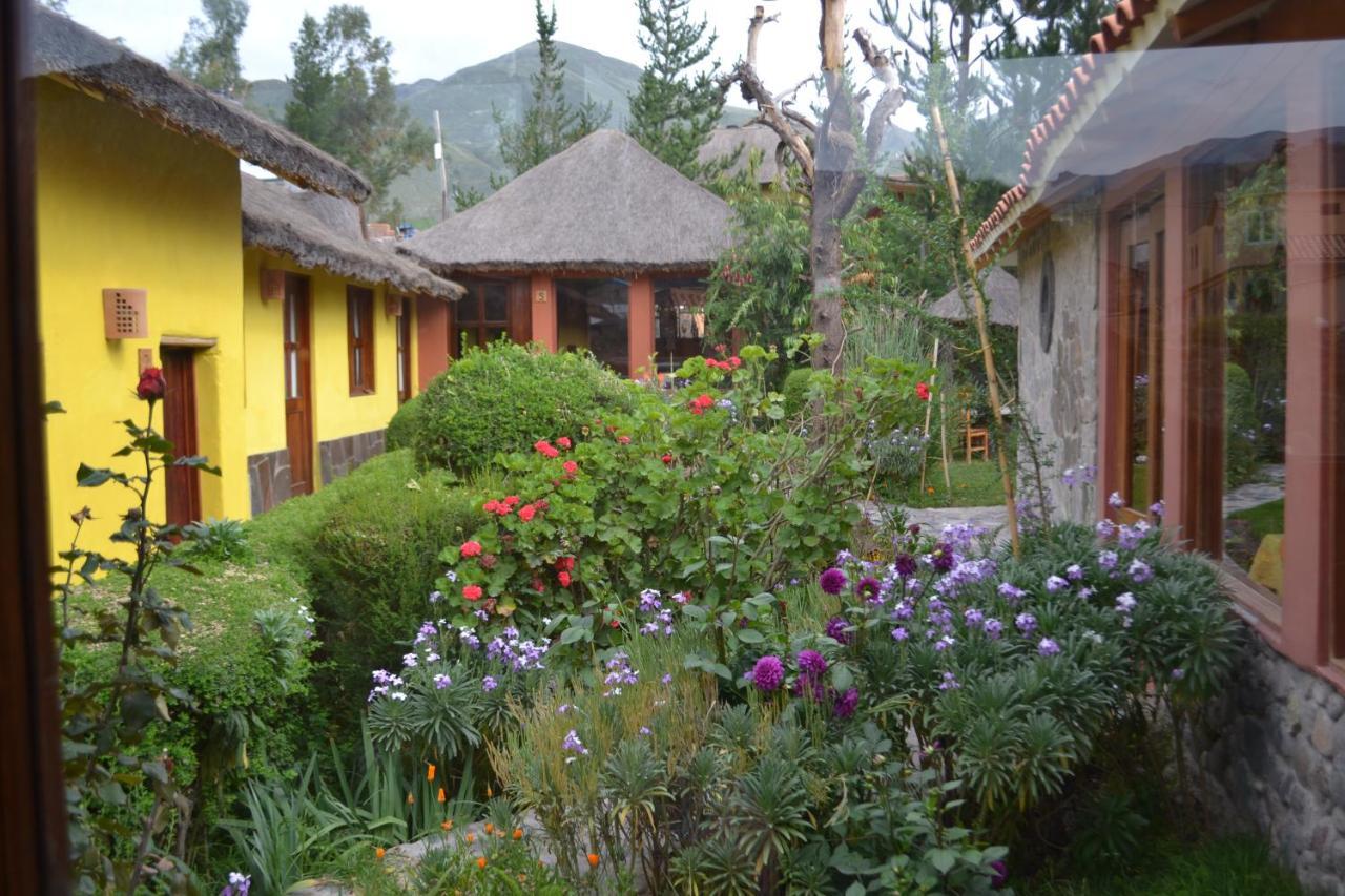 Miskiwasi Bed&Breakfast Yanque Bagian luar foto